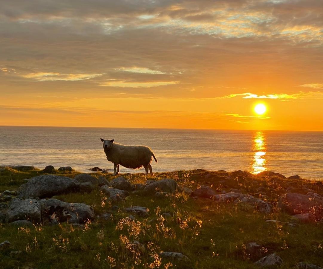 Perfekt Base For Det Meste! Leknes Bagian luar foto